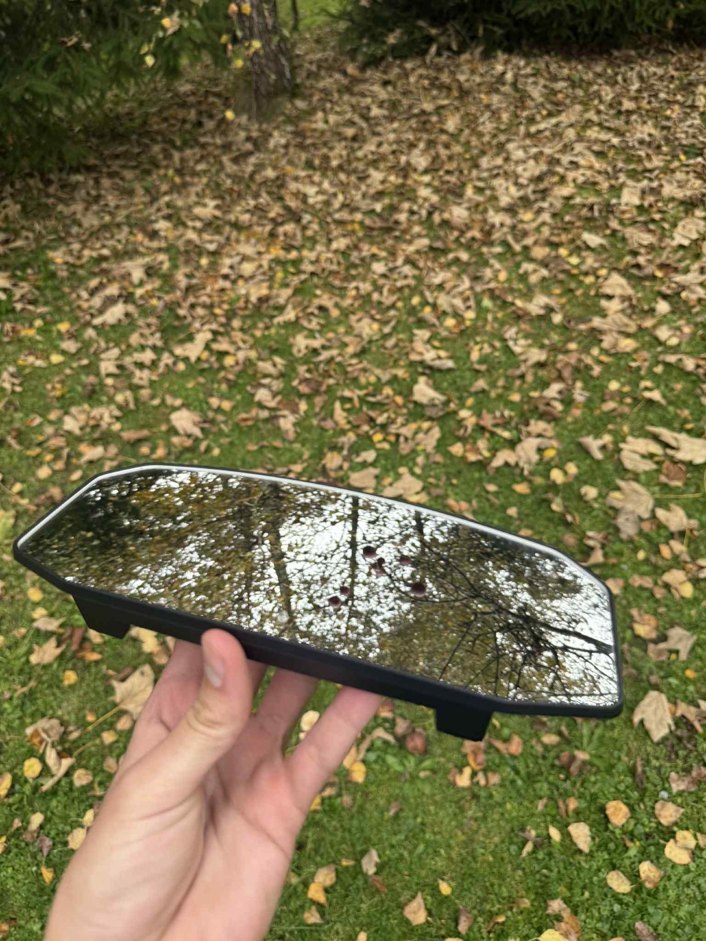 BLIND SPOT